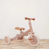 Little Dutch 4-in-1 Driewieler Met Duwstang - Fairy Floral