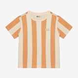 Daily7 Boys T-Shirt Streep Verticaal