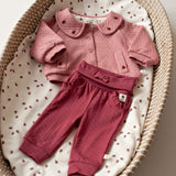 Feetje Broek Berry - Ladybug