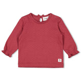 Feetje Longsleeve Berry - Ladybug