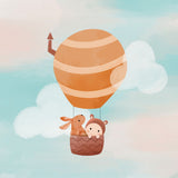 Kaart Studio Noorderlicht - Baby In Luchtballon