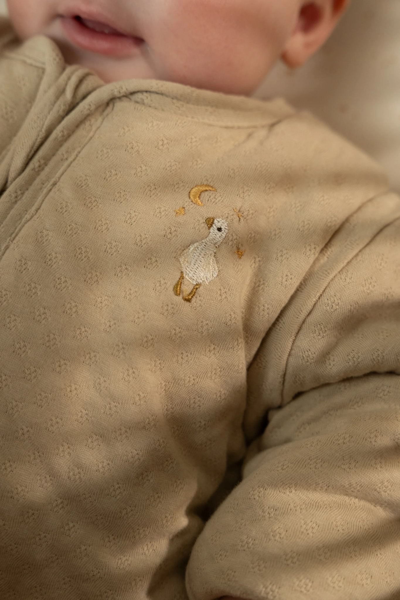 Warme en stijlvolle slaapzakken