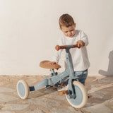Little Dutch 4-in-1 Driewieler Met Duwstang - Forest Adventure