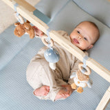 Little Dutch Babygym - Forest Friends