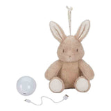 Little Dutch Knuffelkonijn Met Licht & Geluid