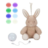 Little Dutch Knuffelkonijn Met Licht & Geluid