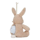 Little Dutch Knuffelkonijn Met Licht & Geluid
