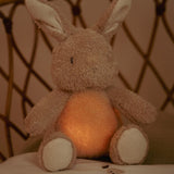 Little Dutch Knuffelkonijn Met Licht & Geluid
