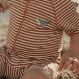 Little Dutch Zwempak Korte Mouwen - Ocean Brown Stripes