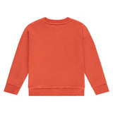Stains & Stories Boys Sweater Met Print Rood