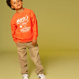 Stains & Stories Boys Sweater Met Print Rood